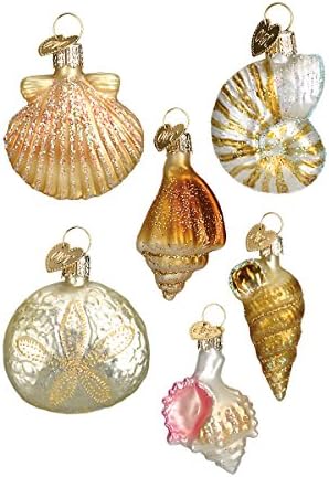 Old World Christmas Hanging Ornament - Assorted Sea Shell Set by Old+World+Christmas