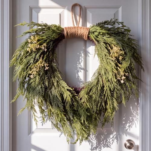 Suncalla Christmas Norfolk Pine Wreath 16" for Front Door Christmas Wreath by Unknown