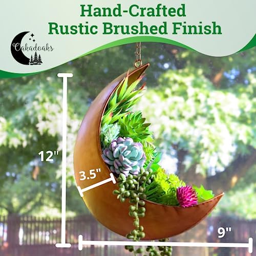 Hanging Moon Planter - Moms Day Gift - Moon Room Decor - Unique Planters for Succulents & Air Plants - Plant Lover Gifts - Boho & Hippie Style - Image 3
