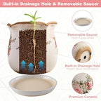 Ceramic-Planters-for-Indoor-Plants with Saucer, 6 inch Vintage Ice Crackle Glaze Plant Pots with Drainage Holes, Decorative Flower Pots for Outdoor Garden Home Decor, Tuscan Pot for Plant - Image 5