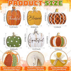 Moucuny Set of 6 Farmhouse Outdoor Fall Decoration for Home Porch, Pumpkin - Image 3