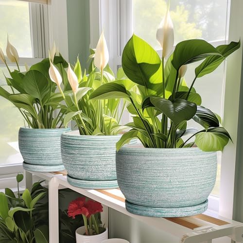 SQOWL Ceramic Plant Pots - 6 Inch Planter with Drainage Hole and Tray, Round Flower Pot for Indoor Plants, Decorative Succulent Planter Outdoor, Home House Decor, Gifts for Women Men, Green - Image 5