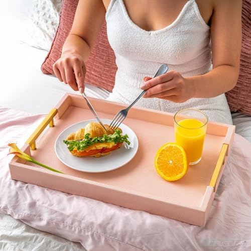 Home Redefined Modern Elegant 17.5"x12" Rectangle Baby Pink Tray Glossy Shagreen Faux Leather Decorative Ottoman Coffee Table Perfume Dresser Kitchen Serving Tray with Gold Polished Metal Handles. - Image 2