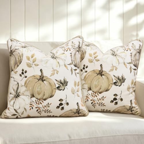 Fall Pumpkin Pillow Covers Set of 2,20x20 Inch,Beige by VigorSpring
