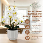 Fake Orchid-19”tall Artificial Indoor Potted Plant for Home Decor-White - Image 3