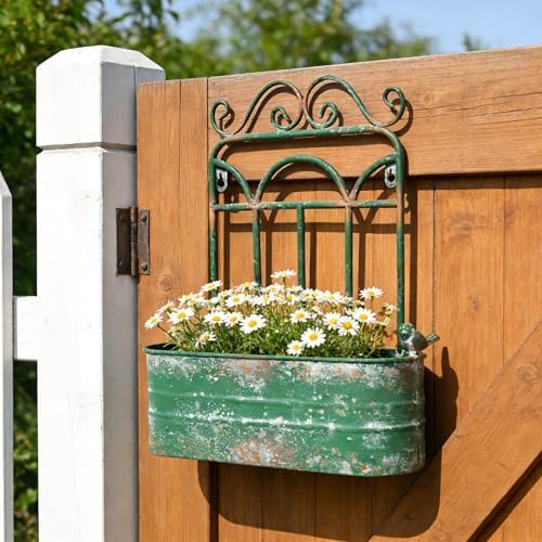 Vintage Rustic Wall Planter Distressed Green Decor Metal Hanging Plant Basket Shabby Iron Wall Mounted Flower Holder Pot Stand for Indoor Outdoor Home Balcony Patio Farmhouse Garden Decorative by Unknown
