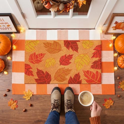 Moucuny 2 Pcs Fall Door Mat Outdoor, Fall Coir Doormat and Rug, Non-Slip - Image 3