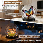 Cloche Glass Dome with LED Base, Round Glass Display Bell Jar, 6 Inch - Image 4