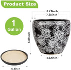 Ceramic Plant Pots With Saucer & Drainage Hole, 8 inch Indoor Flower Pots - Image 3
