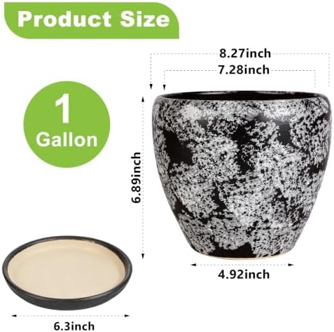 Ceramic Plant Pots With Saucer & Drainage Hole, 8 inch Indoor Flower Pots - Image 3