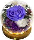 Long-Lasting Real Flowers - Unique Floral Gift For You To Send Love by ValleyofRainForest