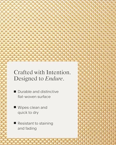 Chilewich Basketweave Placemats, Woven Rectangle Placemats Set of 4 - Image 3
