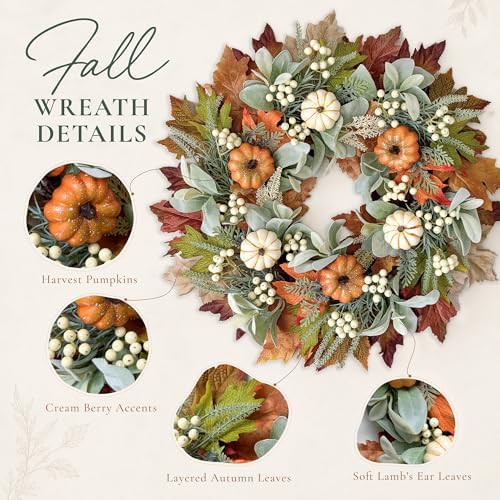Fall Wreath for Front Door, 20'' Autumn Pumpkin Wreath with Cream Berries, Greenery, Lamb Ear & Maple Leaves, Thanksgiving Harvest Fall Decorations for Home Porch Wall Window Indoor Outdoor - Image 4