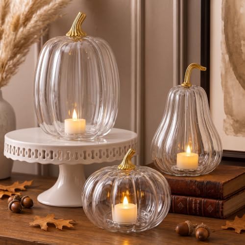 Yungyan Set of 3 Glass Pumpkin Fall Decor Table Centerpiece, Clear by Yungyan