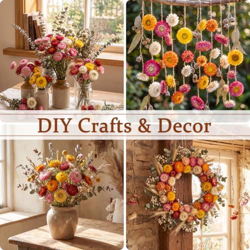 80 Pcs Natural Dried Daisy Flower Bouquet with 11.5" Stem, Colorful - Image 7