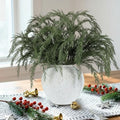 Giegxin 10 Pcs 24 Inch Christmas Artificial Cedar Branches Realistic Modern Greenery Norfolk Pine Stems Xmas Faux Pine Sprays Picks for Vase DIY Christmas Tree Garland Wreath, Festive Home Decor by Giegxin