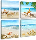 Beach Seashell Starfish Canvas Wall Art Decor Nautical for Bathroom Bedroom by JiazuGo
