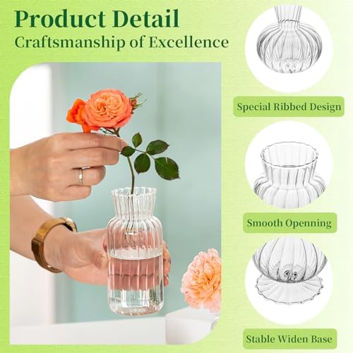 Mini Glass Vases for Centerpieces - Hewory Clear Small Bud Vases in Bulk, Cute Flower Vases Set for Wedding, Home Decoration, Table Decor (Clear, 8) - Image 5