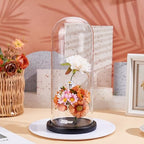 UNICRAFTALE Clear Cloche Glass Dome with Base 12 Inch High Handmade Glass Cloche Antique Collectibles Decorative Bell Jar for Succulents Plants Medals Photos Fairy Lights Table Decor - Image 2