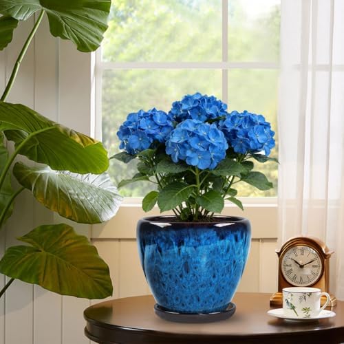 Ceramic Plant Pots With Saucer & Drainage Hole, 8 inch Indoor Flower Pots - Image 2