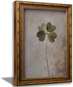 Vintage Gold Framed Vintage Plant Wall Art Four-leaf clover Canvas Wall Decor Retro Shamrocks Poster Print Artwork Patrick's Day painting Picture for Home Living Bedroom Farmhouse Hallway by KoxitechWallArt