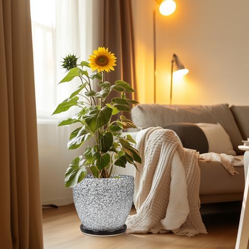 10 Inch Plant Pot - Ceramic Planter for Indoor Outdoor, Round Large Plant Pots, Modern Planter with Drainage Hole and Tray, Home Room Office Garden Decor, Gifts for Women Men, White-Black - Image 2
