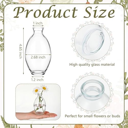 Hushee 12 Pcs Bud Vases Bulk Glass Small Vases for Flowers, Tall - Image 2