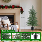 Grooy 2 Pack 4FT Artificial Norfolk Pine Tree - Image 3