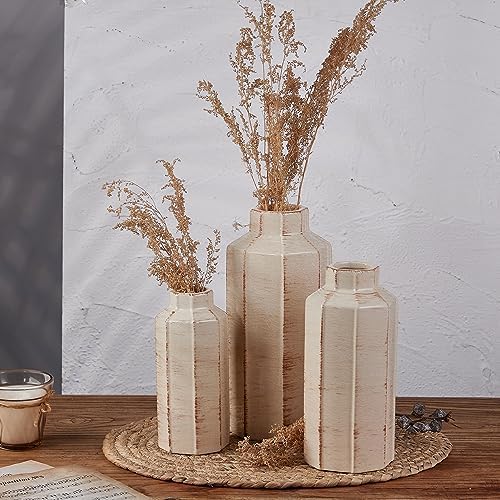 Ceramic Rustic Farmhouse Vase Set of 3,Ice Cracked Glazed Terracotta Vase by LUKA