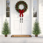 BLEUM CADE 2 Pack 3FT Small Norfolk Pine Tree, Table top Christmas Tree - Image 3