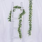 Lvydec 6 Pack Artificial Eucalyptus Garland, Fake Eucalyptus Greenery Garland Wedding Backdrop Arch Wall Decor, 6 Feet/Strand Fake Hanging Plant for Table Festival Party Decoration - Image 2