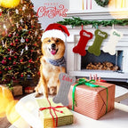 Personalized Dog Christmas Stockings, Custom Embroidered Knit Bone Shape - Image 5