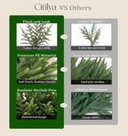24Pcs 18" Christmas Norfolk Pine Stems, Soft Touch Branches Greenery Picks - Image 5