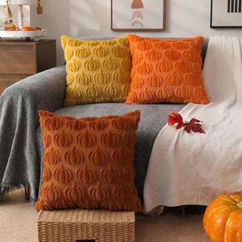 DFXSZ Fall Pillow Covers 24x24 2Pcs Rust Pumpkin Fall Decorations for Home - Image 4