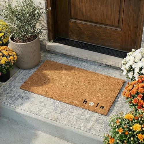 THEODORE MAGNUS Door Mat - Welcome Mat for Front Door with Non-Slip Backing - Durable Spring & Summer Doormat - Perfect for Outside Entrance Matt - Outdoor/Indoor - Hola Daisy - 17" x 30" - Image 2