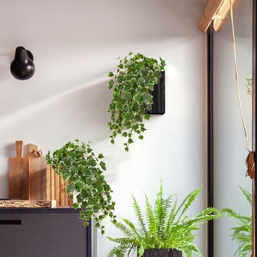 Hollyone 2pcs Artificial Hanging Plants 24" Fake Ivy Vine Faux Ivy Leaves Hanging Plant Greenery for Wall House Room Patio Indoor Outdoor Home Shelf Office Wedding Decor, UV Resistant - Image 3