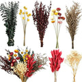 120+ Pcs Dried Flower Bouquet Set, Boho Floral for Fall Decor, Vase Crafts by Chflost-NaturalAesthetic