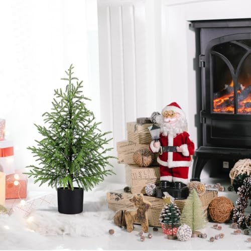 3FT Small Norfolk Pine Christmas Trees, 2-Pack Potted, Unlit - Image 3