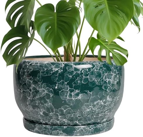 SQOWL 10 Inch Plant Pot - Ceramic Planter for Indoor Plants Outdoor, Large Ceramic Flower Pot with Drainage Hole and Saucer, Decorative Round Planter, Living Room Decor, Gifts for Women Men, Green by SQOWL