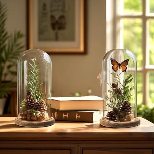 2 Pack Glass Cloche Display Dome, 10 Inch Large Decorative Glass Bell Jar, Clear Dome Showcase with Dark Brown Wooden Base, for Plants, Medals, Photos, Antique Collectibles, Mother's Day - Image 2