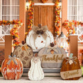 Moucuny Set of 6 Outdoor Fall Decoration for Home Porch, Farmhouse Pumpkin by Moucuny