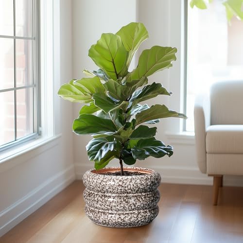 SQOWL Ceramic Flower Pots - 13.5 Inch Plant Pot with Drainage Hole, Large Ceramic Planter for Indoor Plants, Round Modern Planter Outdoor, Porch Home House Decor, Plant Lover Gifts, White - Image 4