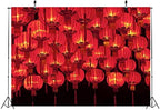 BELECO 10x8ft Fabric Happy Chinese New Year Backdrop Red Lanterns Chinese Traditional Lanterns Lit at Night New Year Eve Background Spring Festival Lunar New Year Decorations Backdrop Photo Props - Image 4