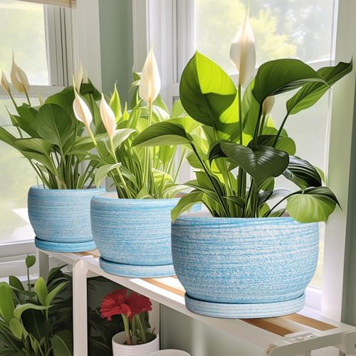 SQOWL Ceramic Plant Pots - 10 Inch Ceramic Flower Pots with Drainage Hole and Saucer, Round Large Planter for Indoor Outdoor, Decorative Modern Planter, Kitchen Decor, House Warming Gifts, Blue - Image 6