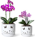 2 Pack, 5 + 6 Inch White Orchid Pots with Butterflies and Tulips Holes, Ceramic Orchid Planters for Repotting with Drainage Holes by ThrivingThicket