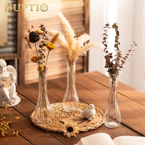 NUPTIO Glass Bud Vases Centerpiece Bulk, 8.5" Tall, Clear, Set of 12 - Image 3