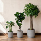 Deep Dream 10 Inch Ceramic Pots for Plants, Heavy Plant Pot for Indoor Outdoor Plants, Large Plant Pot with Drainage Hole and Saucer, Modern Tall Flower Pot, Gifts for Plant Lovers, Grey - Image 6