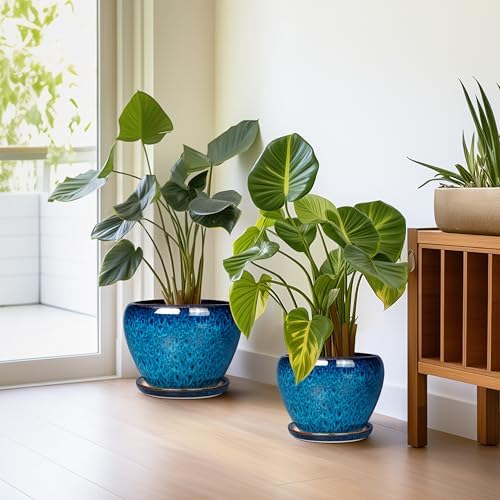 Ceramic Plant Pots Indoor, 10 Inch 8 Inch 6 Inch Round Planters Pots for Indoor Outdoor Plants, Modern Large Flower Pots with Drainage Holes and Saucers, Set of 3, Blue - Image 5