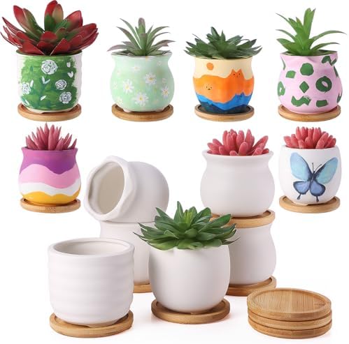 Remerry 18 Pcs 3.5 Inch Mini DIY Ceramic Succulent Pots with Bamboo Tray by Remerry