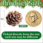 700 Pcs Christmas Natural Mini Pine Cones - Small Xmas Snow Pinecones Decor - Image 2